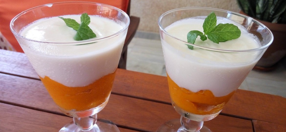 Yogur de Mango